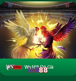 lo888